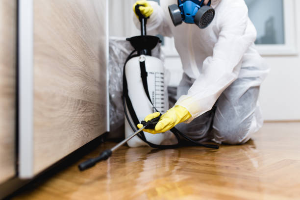 Chillicothe, MO Pest Control Company