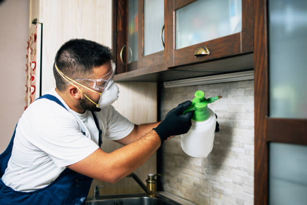 Best Cockroach Control Services  in Chillicothe, MO