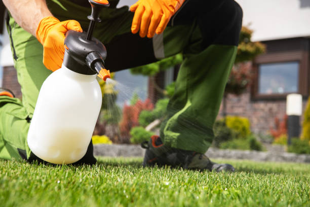 Pest Prevention Services in Chillicothe, MO