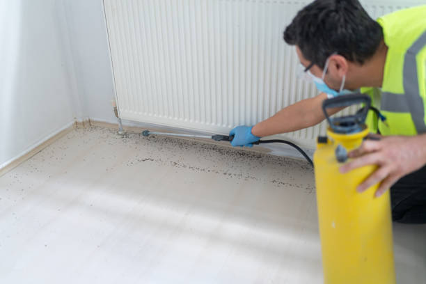 Best Ant Control Services  in Chillicothe, MO